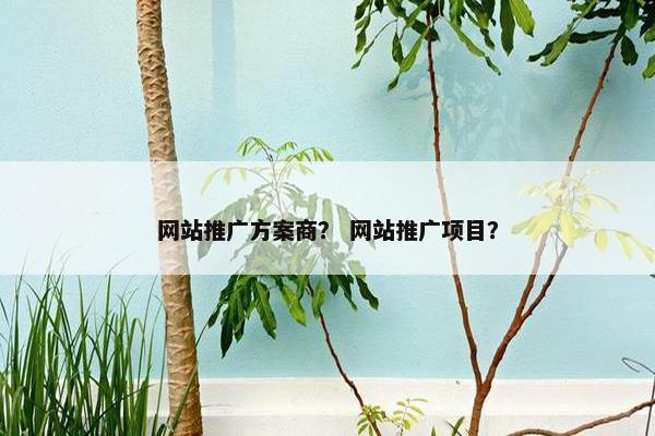 网站推广方案商？ 网站推广项目？