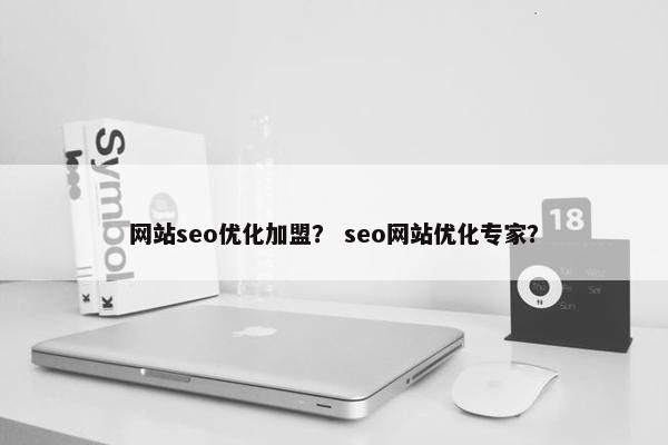 网站seo优化加盟？ seo网站优化专家？