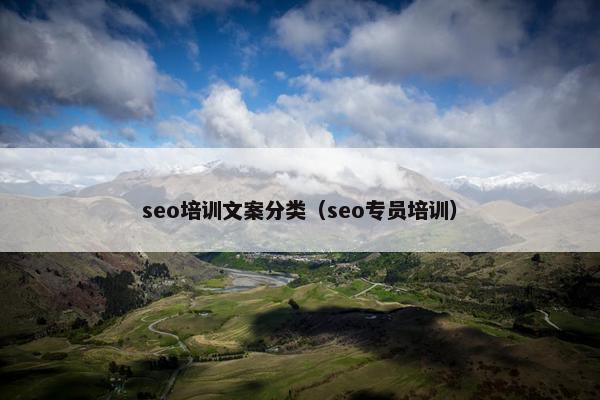 seo培训文案分类（seo专员培训）