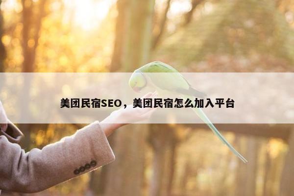 美团民宿SEO，美团民宿怎么加入平台