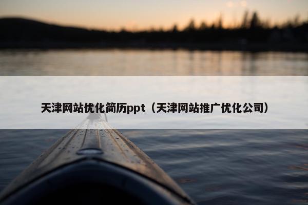 天津网站优化简历ppt（天津网站推广优化公司）