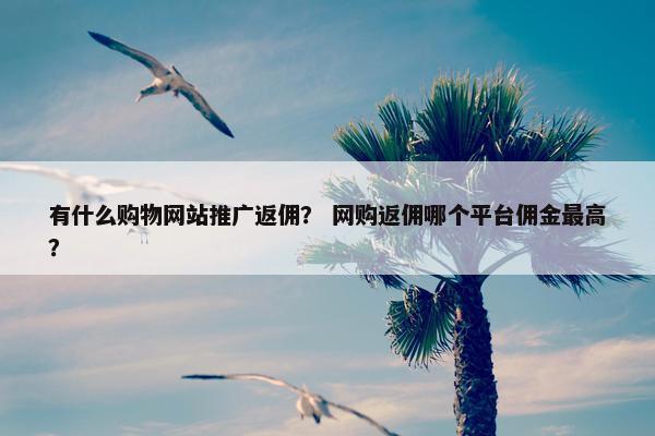 有什么购物网站推广返佣？ 网购返佣哪个平台佣金最高？