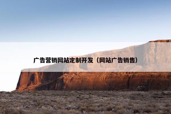 广告营销网站定制开发（网站广告销售）