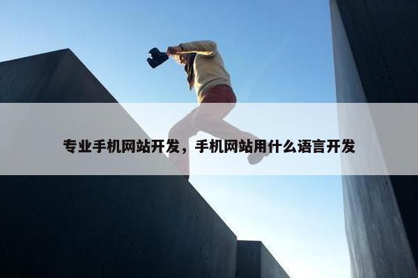专业手机网站开发，手机网站用什么语言开发