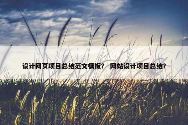 设计网页项目总结范文模板？ 网站设计项目总结？
