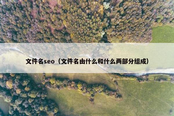 文件名seo（文件名由什么和什么两部分组成）