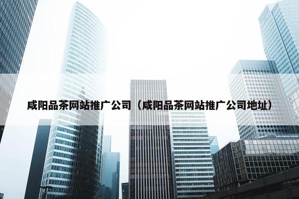 咸阳品茶网站推广公司（咸阳品茶网站推广公司地址）