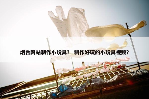 烟台网站制作小玩具？ 制作好玩的小玩具视频？
