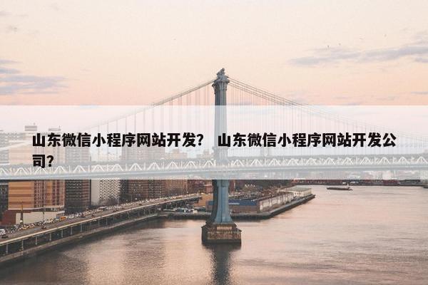 山东微信小程序网站开发？ 山东微信小程序网站开发公司？