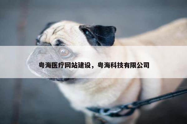 粤海医疗网站建设，粤海科技有限公司