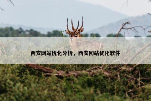 西安网站优化分析，西安网站优化软件