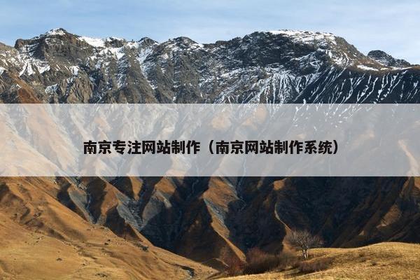 南京专注网站制作（南京网站制作系统）