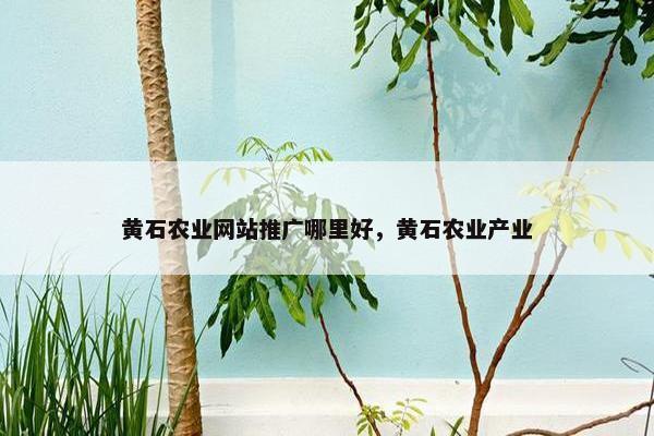 黄石农业网站推广哪里好，黄石农业产业