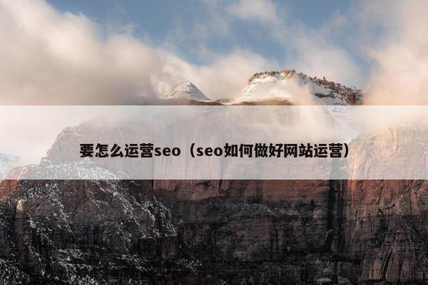 要怎么运营seo（seo如何做好网站运营）