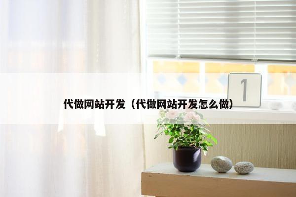 代做网站开发（代做网站开发怎么做）