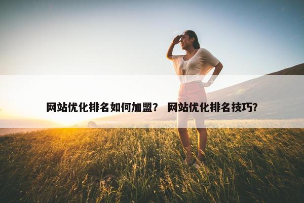 网站优化排名如何加盟？ 网站优化排名技巧？