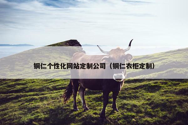 铜仁个性化网站定制公司（铜仁衣柜定制）