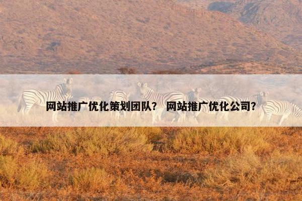 网站推广优化策划团队？ 网站推广优化公司？
