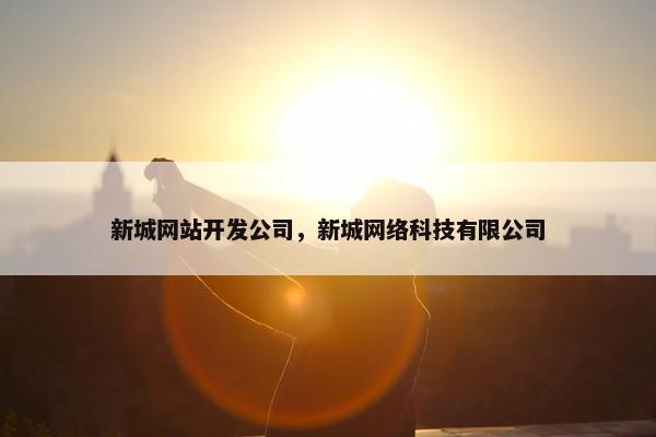 新城网站开发公司，新城网络科技有限公司