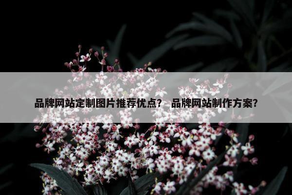 品牌网站定制图片推荐优点？ 品牌网站制作方案？