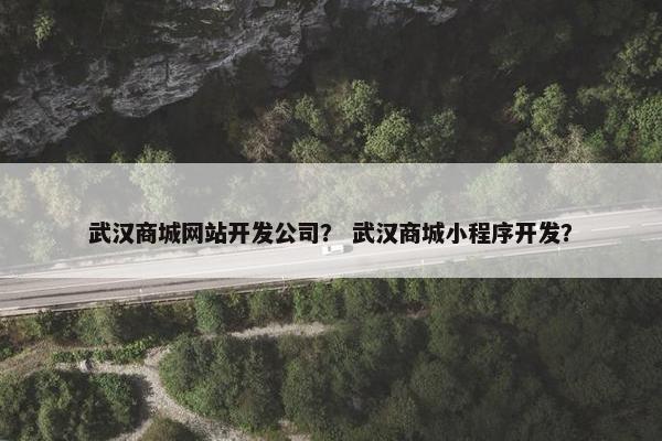武汉商城网站开发公司？ 武汉商城小程序开发？