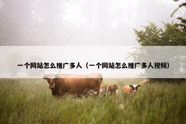 一个网站怎么推广多人（一个网站怎么推广多人视频）