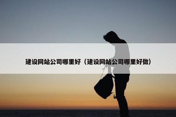 建设网站公司哪里好（建设网站公司哪里好做）