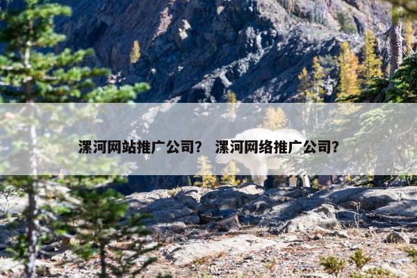 漯河网站推广公司？ 漯河网络推广公司？