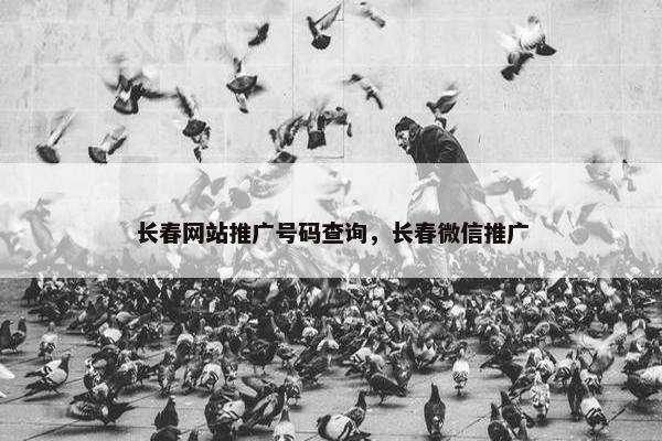 长春网站推广号码查询，长春微信推广