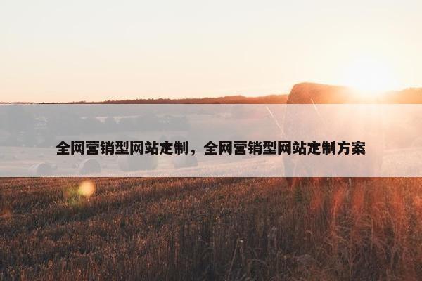 全网营销型网站定制，全网营销型网站定制方案