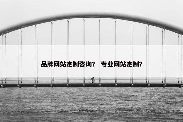 品牌网站定制咨询？ 专业网站定制？