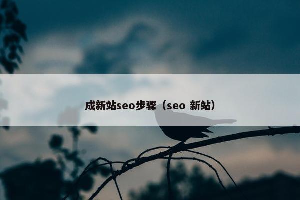 成新站seo步骤（seo 新站）