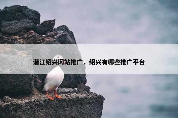 潜江绍兴网站推广，绍兴有哪些推广平台