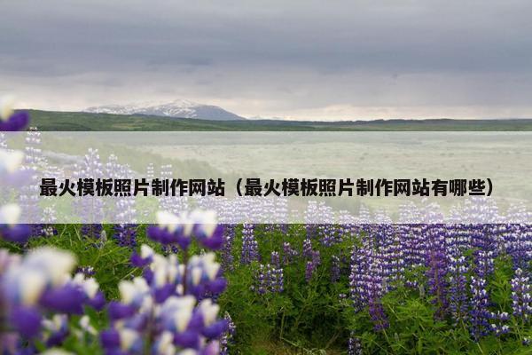 最火模板照片制作网站（最火模板照片制作网站有哪些）