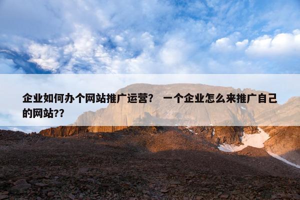 企业如何办个网站推广运营？ 一个企业怎么来推广自己的网站?？