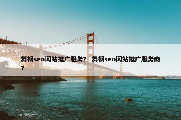 舞钢seo网站推广服务？ 舞钢seo网站推广服务商？