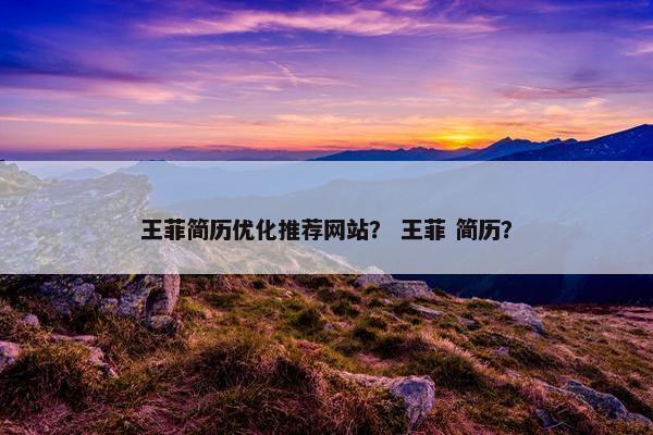 王菲简历优化推荐网站？ 王菲 简历？