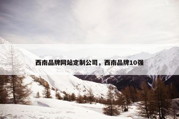 西南品牌网站定制公司，西南品牌10强
