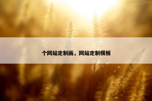 个网站定制画，网站定制模板