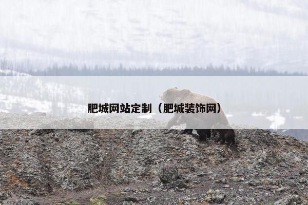 肥城网站定制（肥城装饰网）
