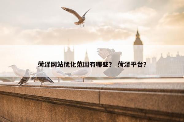 菏泽网站优化范围有哪些？ 菏泽平台？