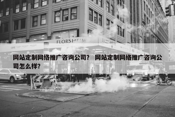 网站定制网络推广咨询公司？ 网站定制网络推广咨询公司怎么样？