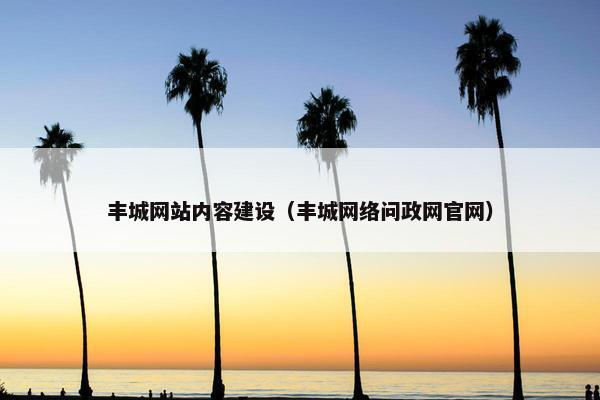 丰城网站内容建设（丰城网络问政网官网）