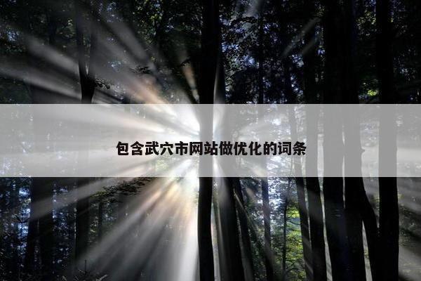 包含武穴市网站做优化的词条