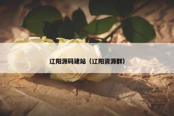 辽阳源码建站（辽阳资源群）