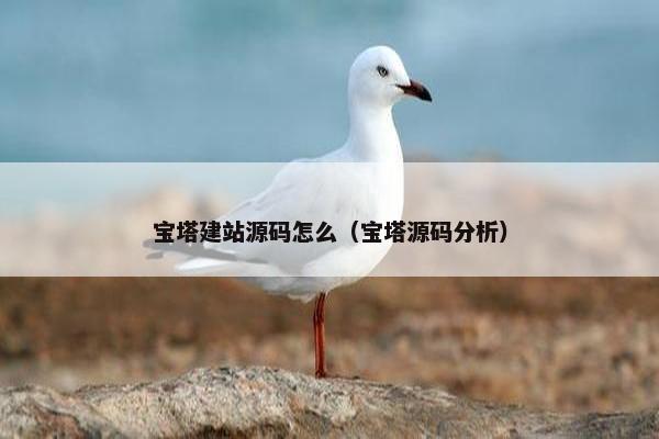 宝塔建站源码怎么（宝塔源码分析）