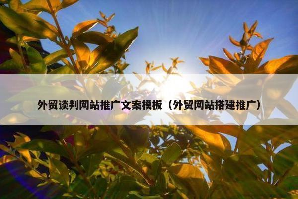 外贸谈判网站推广文案模板（外贸网站搭建推广）