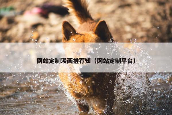 网站定制漫画推荐知（网站定制平台）