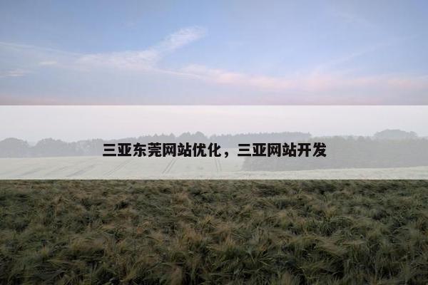 三亚东莞网站优化，三亚网站开发