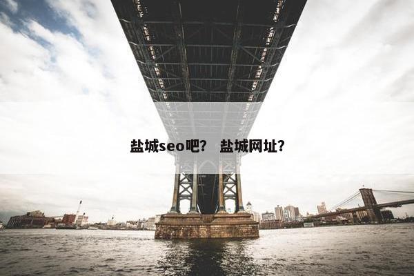 盐城seo吧？ 盐城网址？